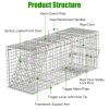 Humane Trap Cage With Waterproof Cover Gloves Catch Release Live Animal Rodent Cage Collapsible Galvanized Wire For Raccoons Beavers Groundhogs