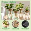 Glass Propagation Stations Indoor Glass Planters Hydroponic Plant Vases 2 Large 2 Small For Plant Cuttings Flower Arrangements