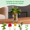 Glass Propagation Stations Indoor Glass Planters Hydroponic Plant Vases 2 Large 2 Small For Plant Cuttings Flower Arrangements