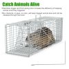 Humane Trap Cage Catch Release Live Animal Rodent Cage Collapsible Galvanized Wire with Gloves Cats Raccoons Beavers Groundhogs Foxes Armadillos