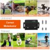 Waterproof Pet Beep Vibration Electric Shock Collar 3280Ft 3 Channels Rechargeable Transmitter Receiver Trainer With Flashing light