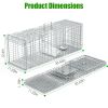 Humane Trap Cage Catch Release Live Animal Rodent Cage Collapsible Galvanized Wire with Gloves Cats Raccoons Beavers Groundhogs Foxes Armadillos