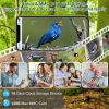 Smart Bird Feeder With Solar Powered Camera 1080P Hd Ai Identify Pir Motion Auto Capture Video Cloud Card Storage Wifi Connection App Control Ip65