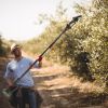 Cordless Pruning Shear And Electric Chainsaw 4 In 1 with Max 5.5Ft Extension Poles 4” 6” Pole Saw Brushless Pruning Shear With 2Pcs 3.0Ah Ba