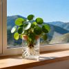 Glass Propagation Stations Indoor Glass Planters Hydroponic Plant Vases 2 Large 2 Small For Plant Cuttings Flower Arrangements