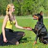 Waterproof Pet Beep Vibration Electric Shock Collar 3280Ft 3 Channels Rechargeable Transmitter Receiver Trainer With Flashing light