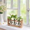 Plant Terrarium Propagation Station With 3 Heart Shaped Vases Wooden Stand Desktop Air Planter Bulb Glass Vase For Hydroponics Home Office Decor