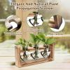 Plant Terrarium Propagation Station With 3 Heart Shaped Vases Wooden Stand Desktop Air Planter Bulb Glass Vase For Hydroponics Home Office Decor