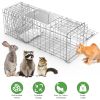 Heavy Duty Folding Live Animal Trap Cage Humane Easy To Catch And Release Trap For Stray Cats Raccoons Squirrel Skunk Groundhog Armadillo