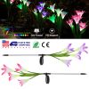 Solar Outdoor Lily Flower Led Light 7-Color Changing Lights 2Pcs Ip65 Waterproof Pathway Stake Lights Patio Decorative Garden Patio