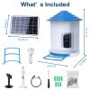 Smart Bird Feeder With Solar Powered Camera 1080P Hd Ai Identify Pir Motion Auto Capture Video Cloud Card Storage Wifi Connection App Control Ip65