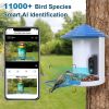 Smart Bird Feeder With Solar Powered Camera 1080P Hd Ai Identify Pir Motion Auto Capture Video Cloud Card Storage Wifi Connection App Control Ip65