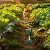 Solar Powered Motion Sensor Animal Repellent Sprinkler With Flashing Light Outdoor Animal Deterrent For Cats Dogs Squirrels Birds Raccons Deer