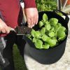 Plant Grow Bags Potato Vegetable Planter Bags 3 Pack Breathable Planting Fabric Pots 7Gallons