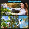 2-In-1 Electric Shear with Extension Pole 21V 4.0Ah Cordless Pruner 13Ft High Tree Trimming Pruning ETC.