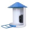 Smart Bird Feeder With Solar Powered Camera 1080P Hd Ai Identify Pir Motion Auto Capture Video Cloud Card Storage Wifi Connection App Control Ip65