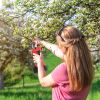 Cordless Rechargeable Pruning Shears 21V 40mm 1.57 in Tree Branch Cutter With 2 Batteries Sharpening Stone Garden Backyard Hedge