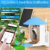 Solar Powered Bird Feeder 2K Bird Watching Camera With Pir Motion Ai Birds Species Identify Two-Way Audio Real-Time App Notification Capture Video