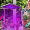 Led Grow Light Full Spectrum Hanging 225 Leds Plant Grow Lamp Indoor Grow Light For Greenhouse Succulents Seedlings Plants Veg And Flower（15W Leds）