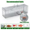 Live Animal Trap Cage 27X7.5X8In Folding Catch And Release Steel Humane Cat Trap For Racoons Stray Cats Rabbits Beavers Hedgehogs Chipmunk Small Anima