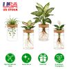 Glass Propagation Stations Indoor Glass Planters Hydroponic Plant Vases 2 Large 2 Small For Plant Cuttings Flower Arrangements