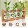 Plant Terrarium Propagation Station With 3 Heart Shaped Vases Wooden Stand Desktop Air Planter Bulb Glass Vase For Hydroponics Home Office Decor