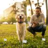 Electric Dog Fence System Pet Tone Shock Boundary Containment Water Resistant Collar Receiver For Small Medium Large Dog