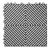 Interlocking Drainage Mat, 12' x 12' Modular Interlocking Cushion, 40 Pcs Splicing Drainage Mats, Non-Slip Black PP Drainage Floor Tile and Shower Mat