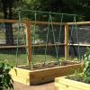 5/16" rod, 6 ft, 20 pc Dark Green Solid Plant Support Pole, Gardening Fixture, Tomato and Cucumber Climbing Vine Support Stick