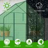 Mini Walk-in Greenhouse with PE Cover, 4-Shelf Indoor Outdoor Plant Gardening Green House for Garden Backyard, 56" x 29" x 77", Green