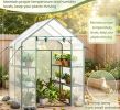 Walk-In Greenhouse 56 X 56 X 77 Inch with Observation Windows for Gardening And Plant Care