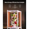 Hydroponic Growing System with Grow Light, 30 Pods Vertical 6 Tiers Hydroponic Tower, Home Hydronic Garden with Water Pump