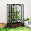 Raised Garden Bed with Trellis, 46.5" Tomato Cage with Crop Cage, Self Watering Planter Box with Drainage Holes, White