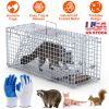 Live Humane Animal Heavy Duty Folding Catch & Release Trap 25.59In Rodent Cage Rabbit Squirrel Possum Skunk Kitten Raccoon ETC.