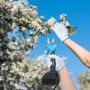 2-In-1 Electric Shear with Extension Pole 21V 4.0Ah Cordless Pruner 13Ft High Tree Trimming Pruning ETC.