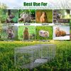 Live Animal Trap Cage 27X7.5X8In Folding Catch And Release Steel Humane Cat Trap For Racoons Stray Cats Rabbits Beavers Hedgehogs Chipmunk Small Anima
