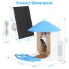 Solar Powered Bird Feeder 2K Bird Watching Camera With Pir Motion Ai Birds Species Identify Two-Way Audio Real-Time App Notification Capture Video