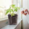Plant Nursery / Pet Flower Seed Starting Pots 30Pcs Container With Dome With Drainage Holes