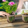 Plant Nursery / Pet Flower Seed Starting Pots 30Pcs Container With Dome With Drainage Holes