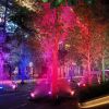 Color Changing Stake Landscape Lights 4Pcs Ip65 Waterproof Led with Remote Control 16 Color Dynamic Lights Lawn, Backyard, Pathway, and Garden
