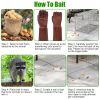 Humane Trap Cage Catch Release Live Animal Rodent Cage Collapsible Galvanized Wire with Gloves Cats Raccoons Beavers Groundhogs Foxes Armadillos