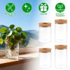 Glass Propagation Stations Indoor Glass Planters Hydroponic Plant Vases 2 Large 2 Small For Plant Cuttings Flower Arrangements