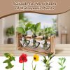 Plant Terrarium Propagation Station With 3 Heart Shaped Vases Wooden Stand Desktop Air Planter Bulb Glass Vase For Hydroponics Home Office Decor