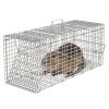 Humane Live Animal Catch Release Cage Collapsible Galvanized Wire For Cats Rodents Raccoons Beavers Groundhogs Foxes Armadillos